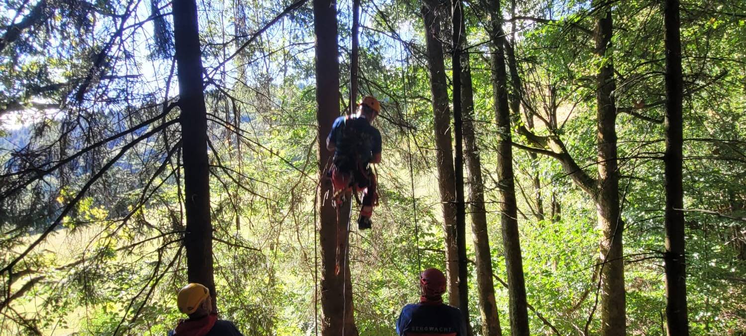 Gleitschirmfliegerin landet in Olsberg-Elpe in Baumkrone