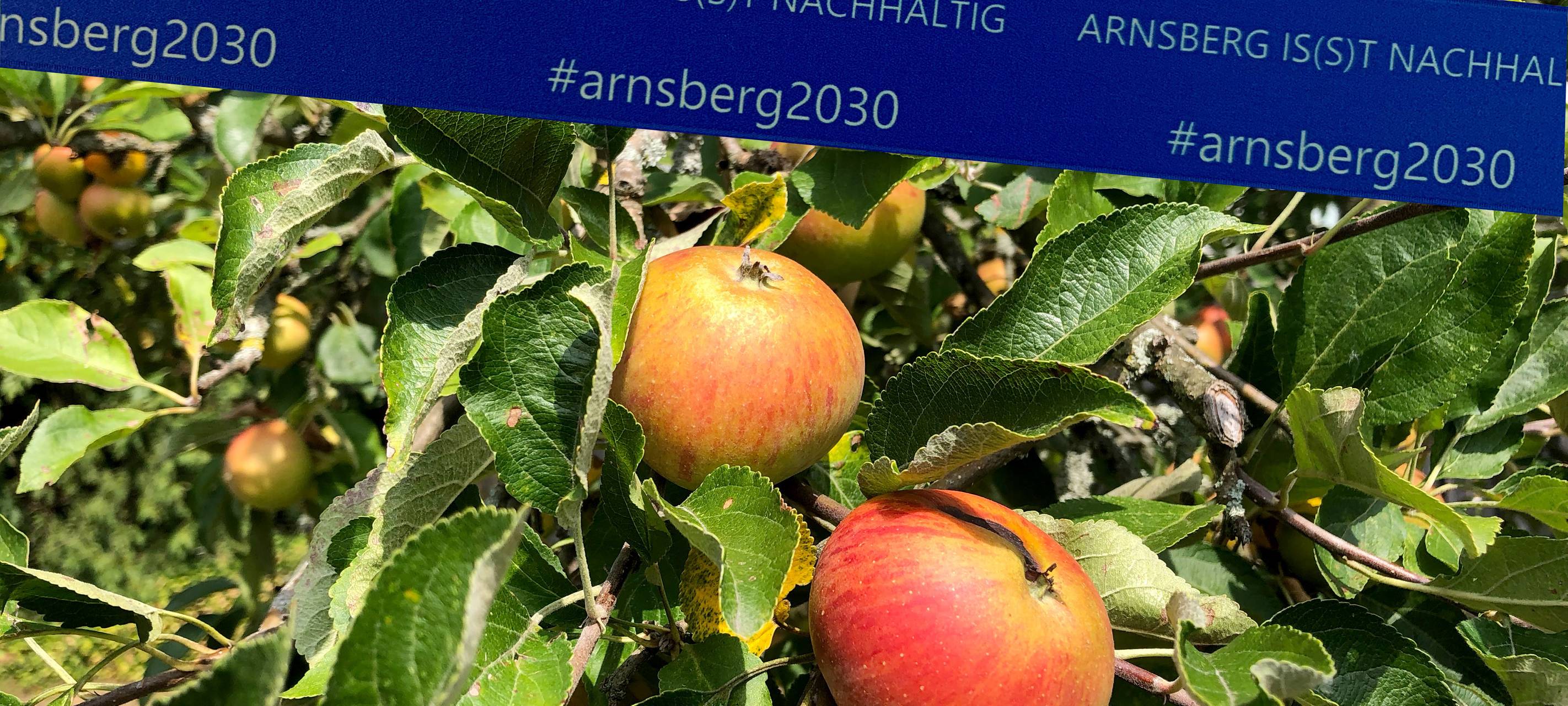 Städte im Sauerland fördern Artenvielfalt