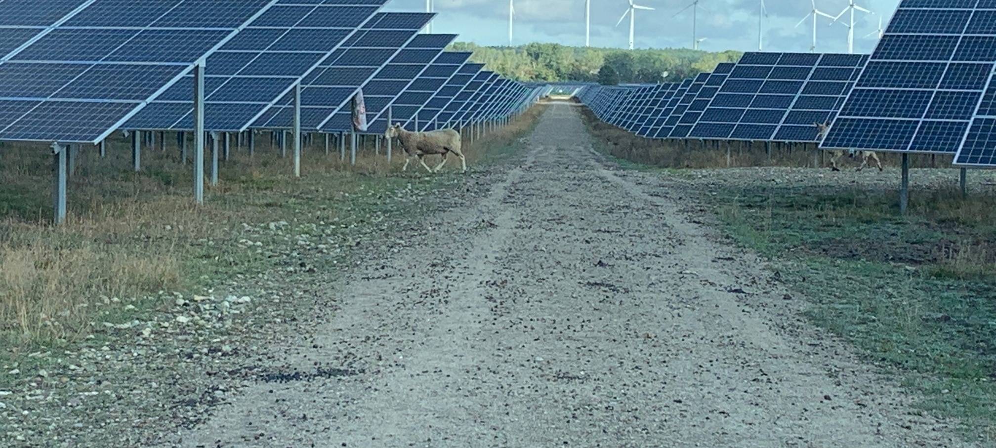 Schmallenberg: Neue Solarparks im Gespräch