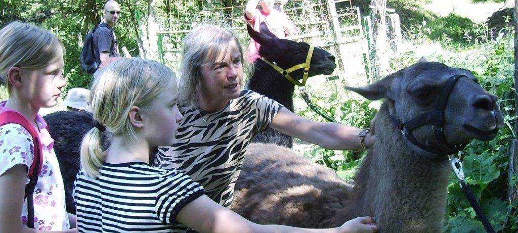 Herbstferien im Sauerland