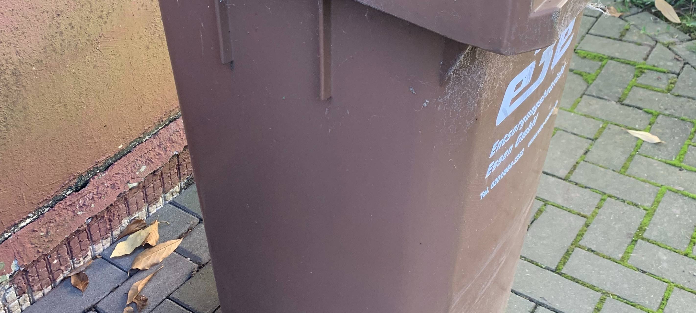 Eslohe: Müllgebühr sinkt