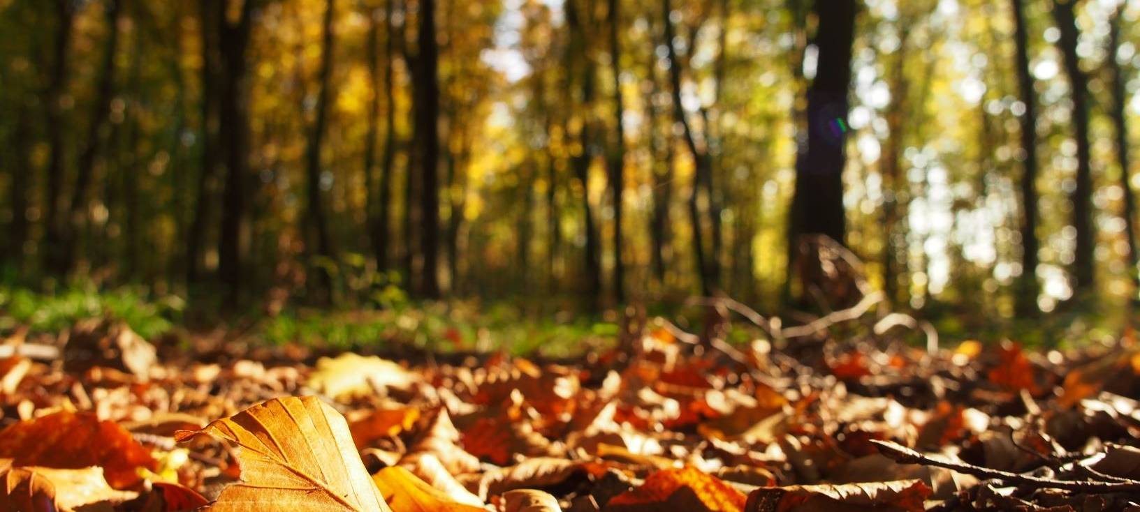 Tipps für die Herbstferien