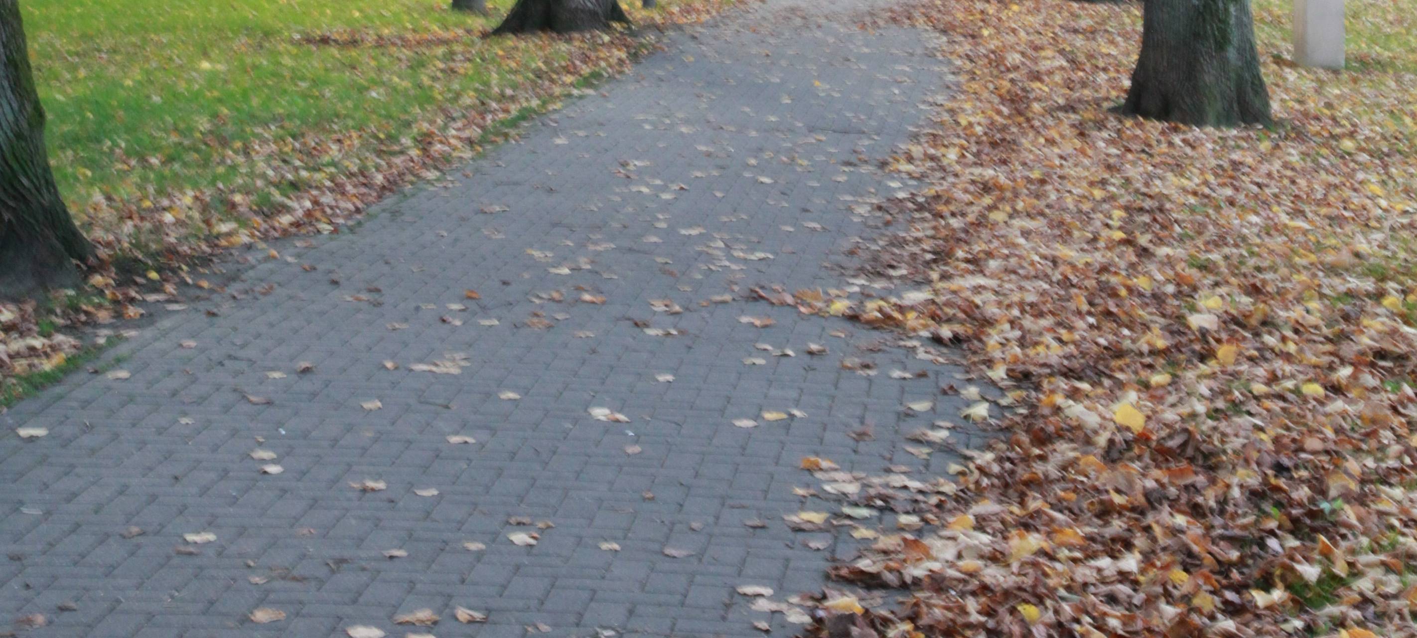 Lichtweg in Hüsten bringt weihnachtliche Stimmung