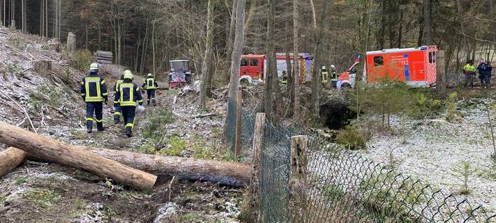 Olsberger bei Forstarbeiten am Wochenende schwer verletzt