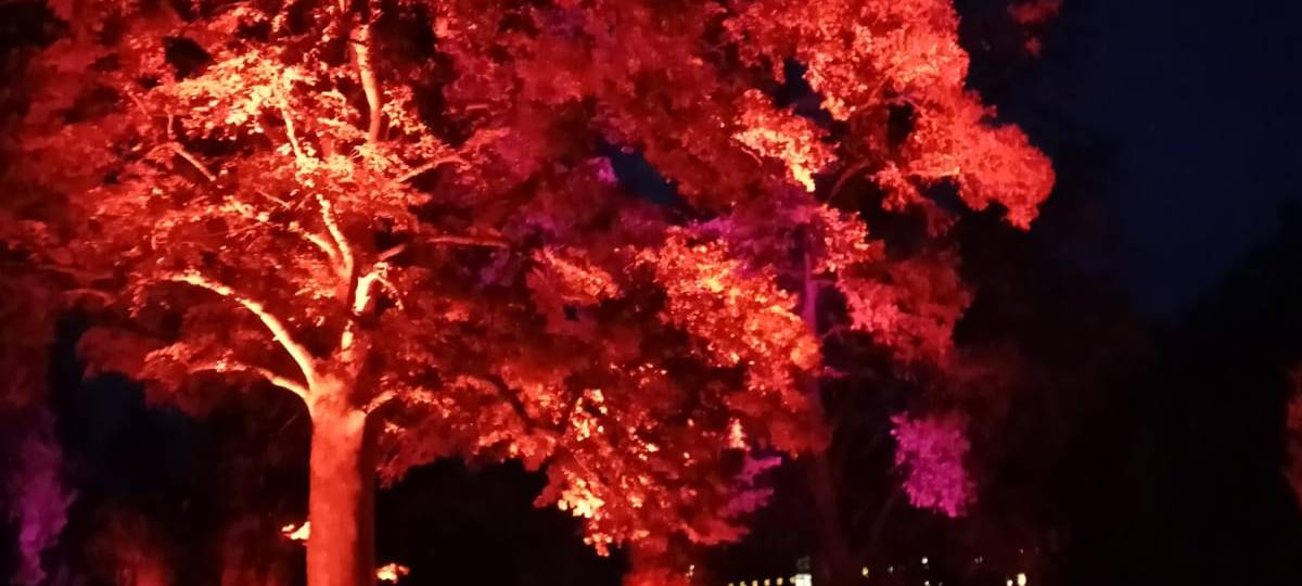 Hüsten: Lichtweg wird offiziell eröffnet