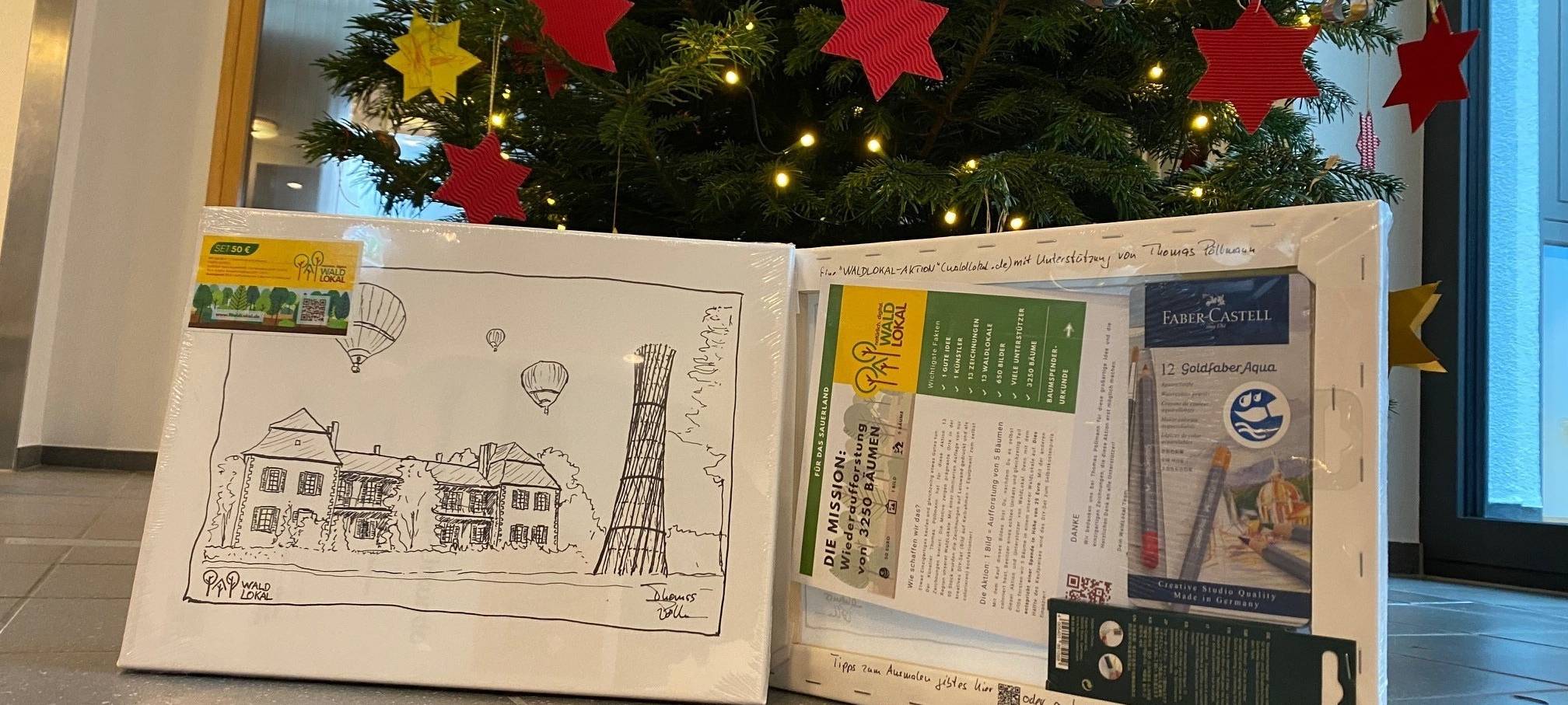 Weihnachtsgeschenk: Bäume im Sauerland pflanzen