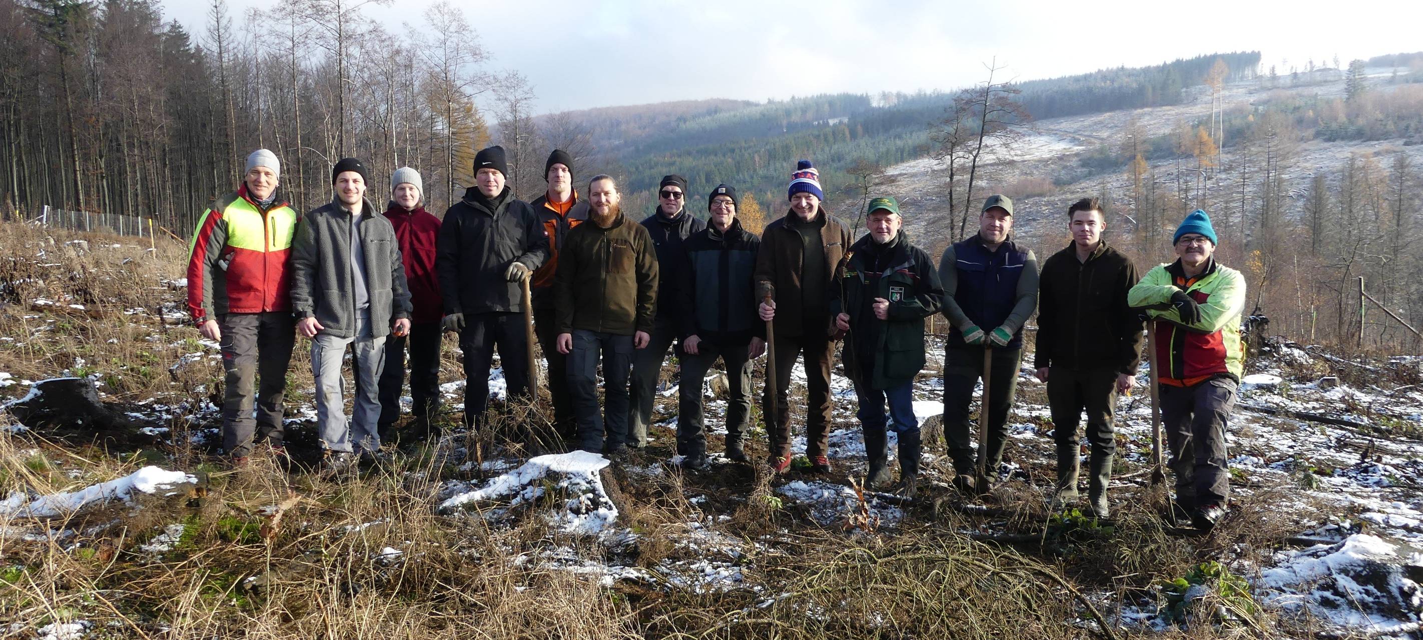 Neues Forschungsprojekt zum Wald der Zukunft im Sauerland