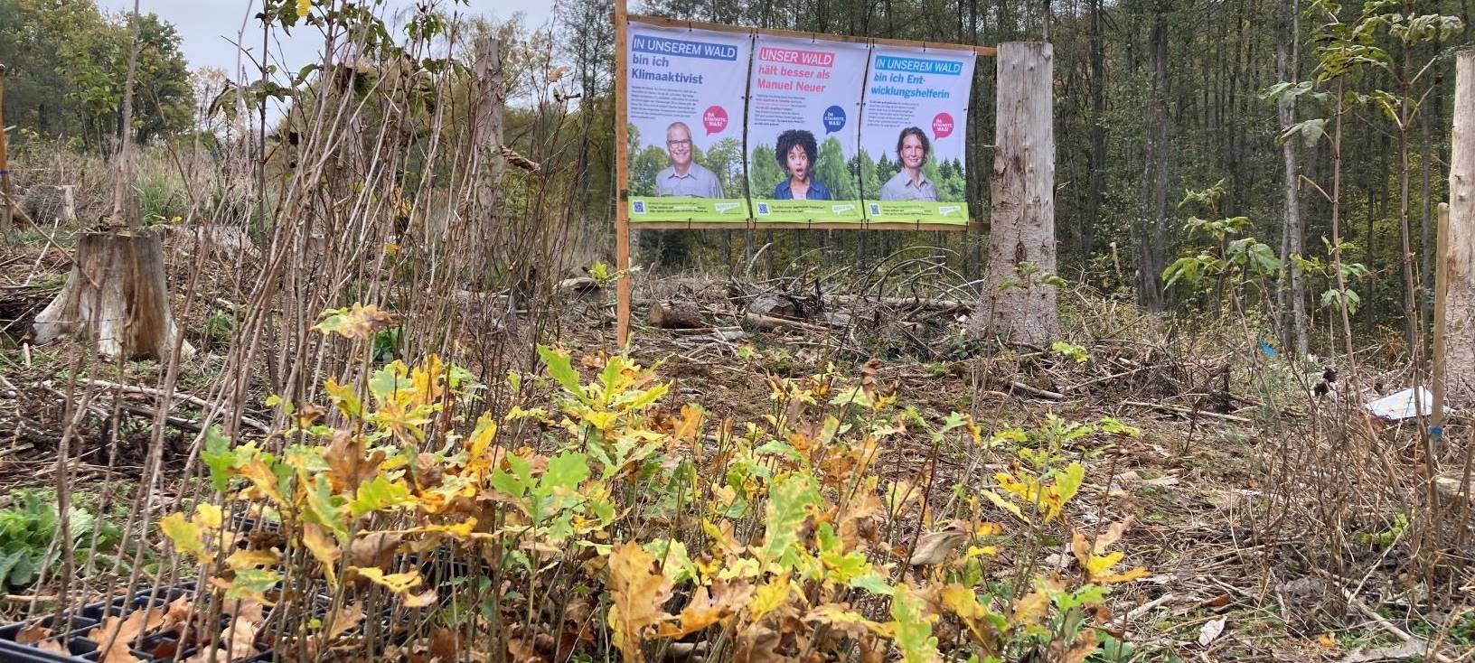 Sauerland: Kampagne für Wald