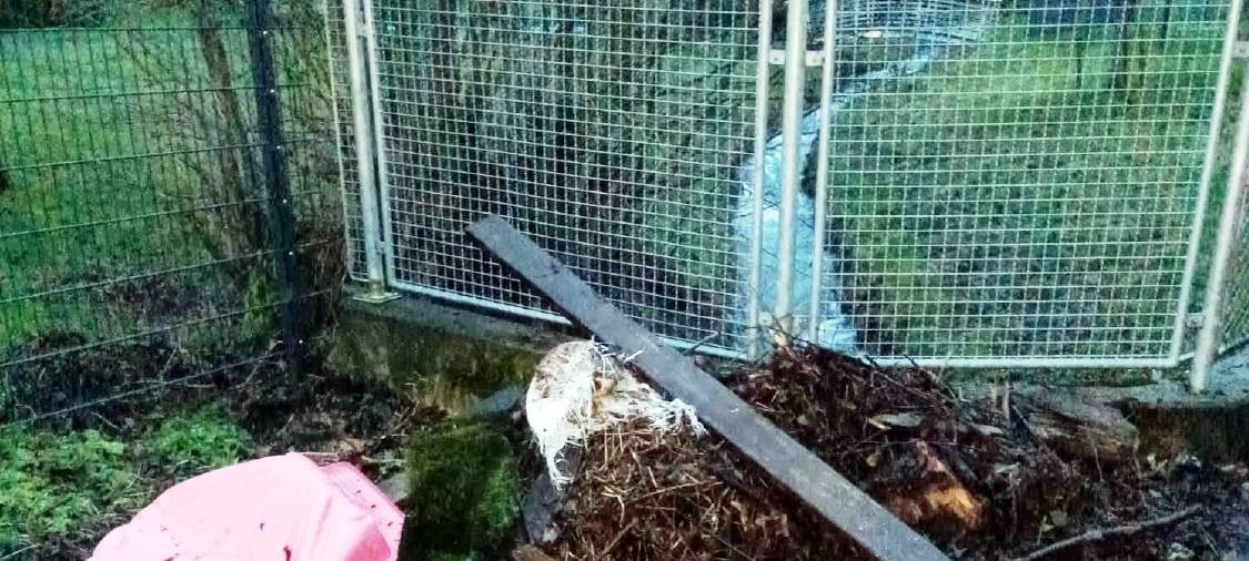 Meschede: Uferzonen von Bächen und Flüssen freihalten