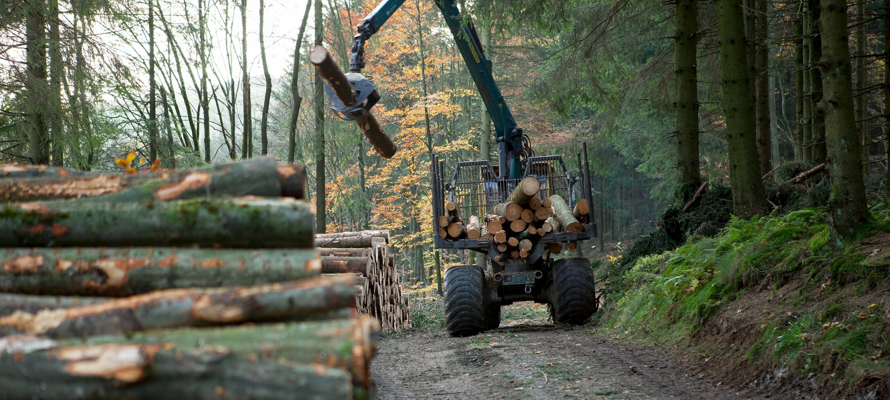 Winterberg: es gibt wieder Bürgerbrennholz