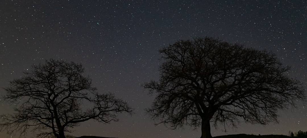 Sauerland: Wanderungen und Workshops für Sternengucker