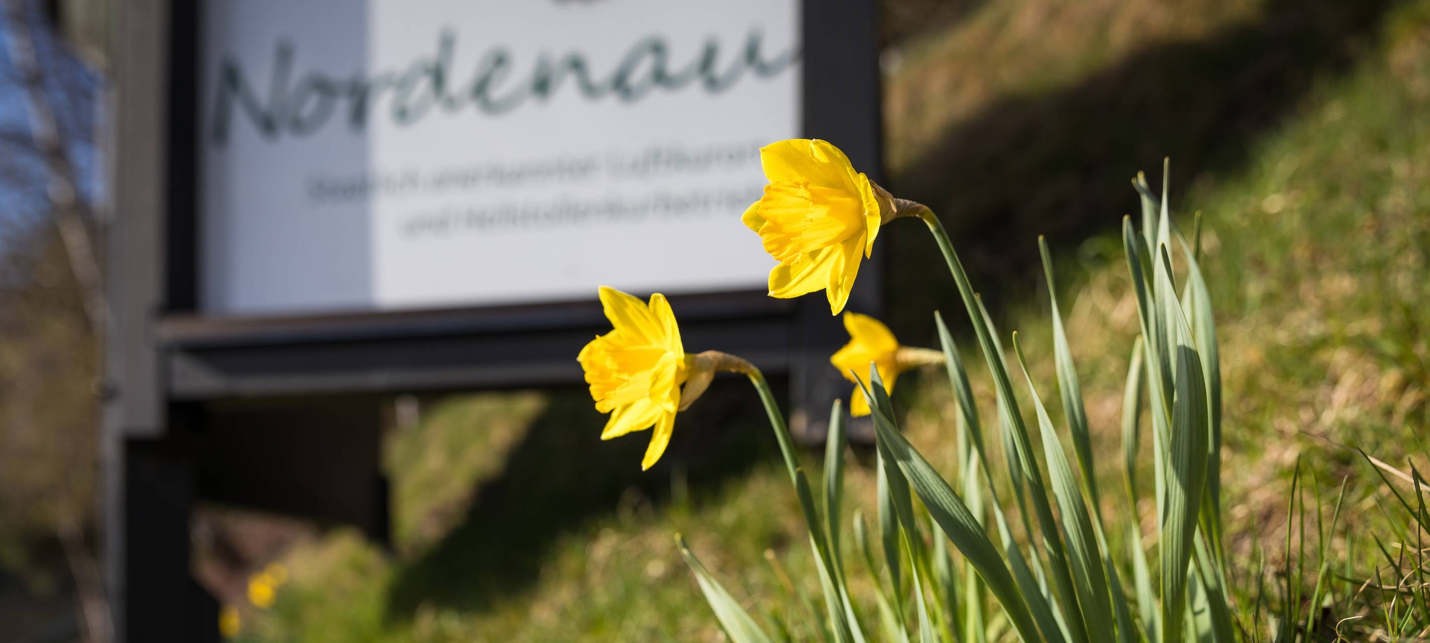 Flüchtlingsunterkunft zu groß für Schmallenberg-Nordenau ?