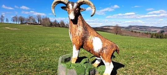 Winterberg: Neuer Themenwanderweg