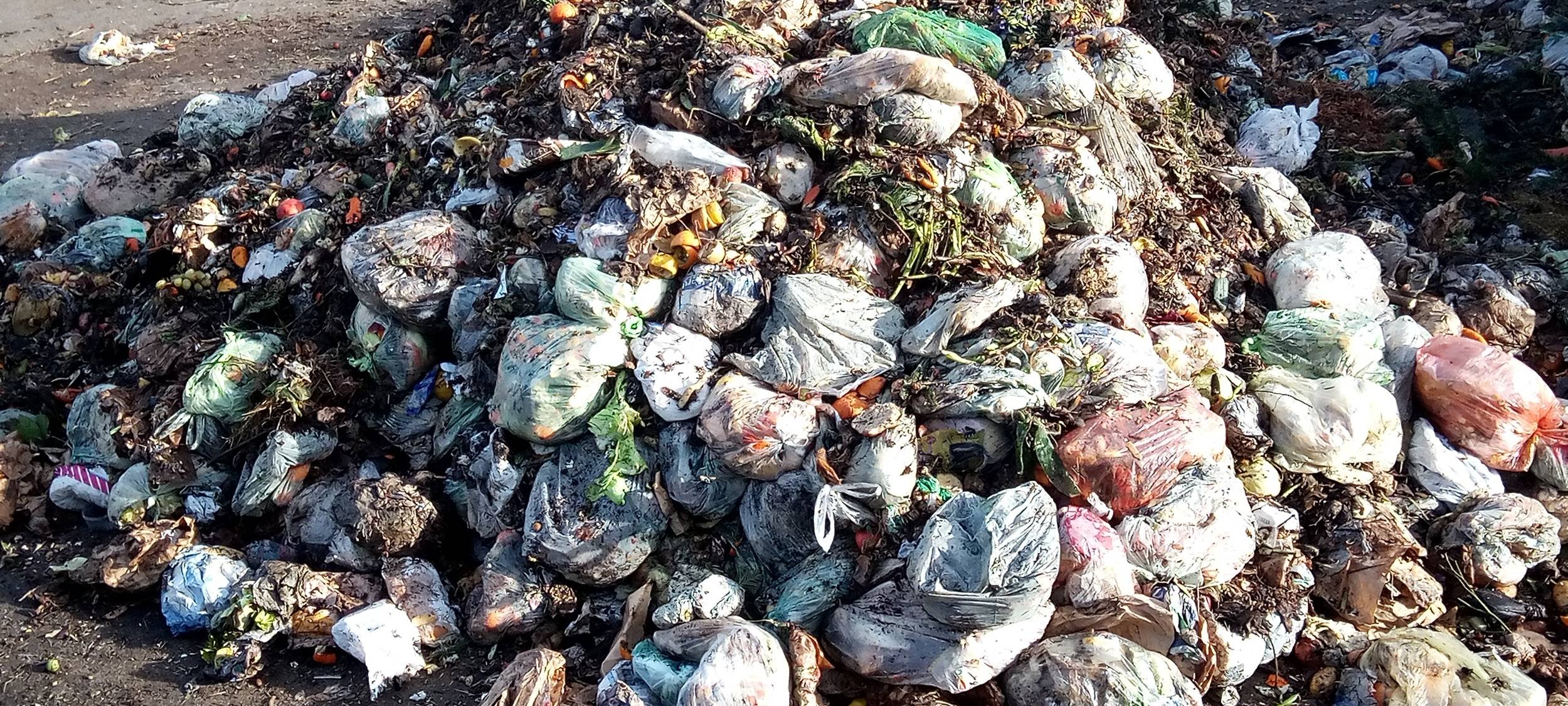 Sundern: weiter viel Plastik im Biomüll