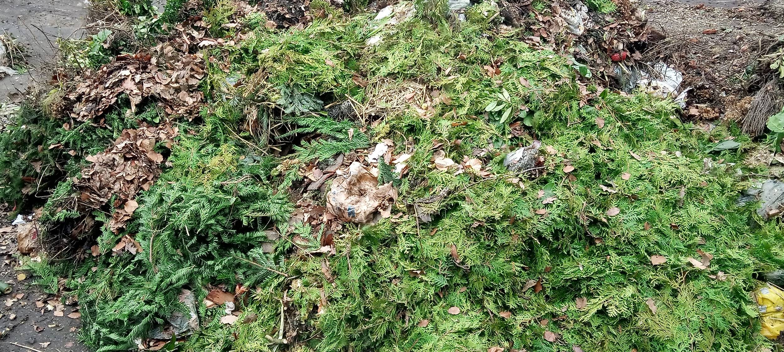 Zu viel Plastik in Sauerländer Biotonnen