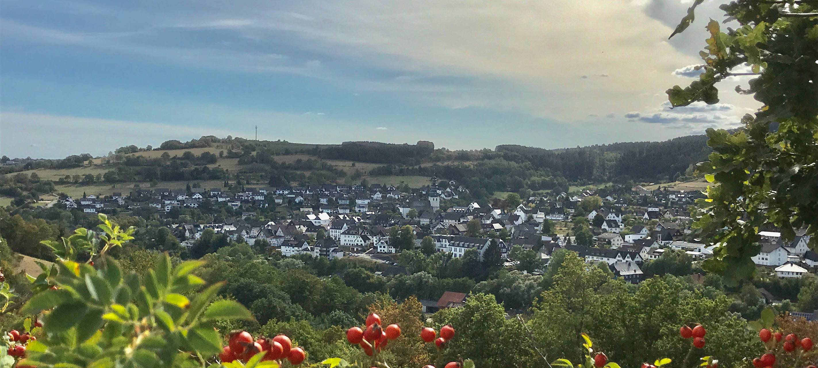 Hallenberger Lenz: Familienfest für den Wald