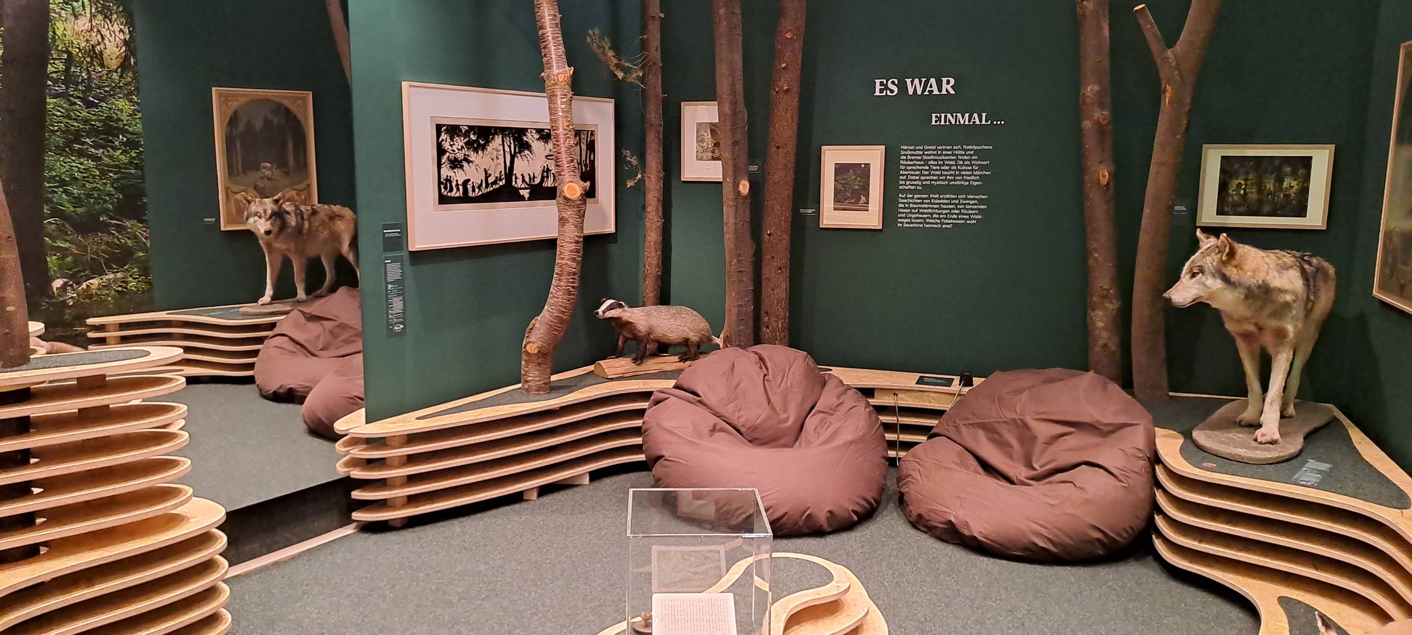 20.000 Menschen besuchen "Wunder Wald" im Sauerlandmuseum