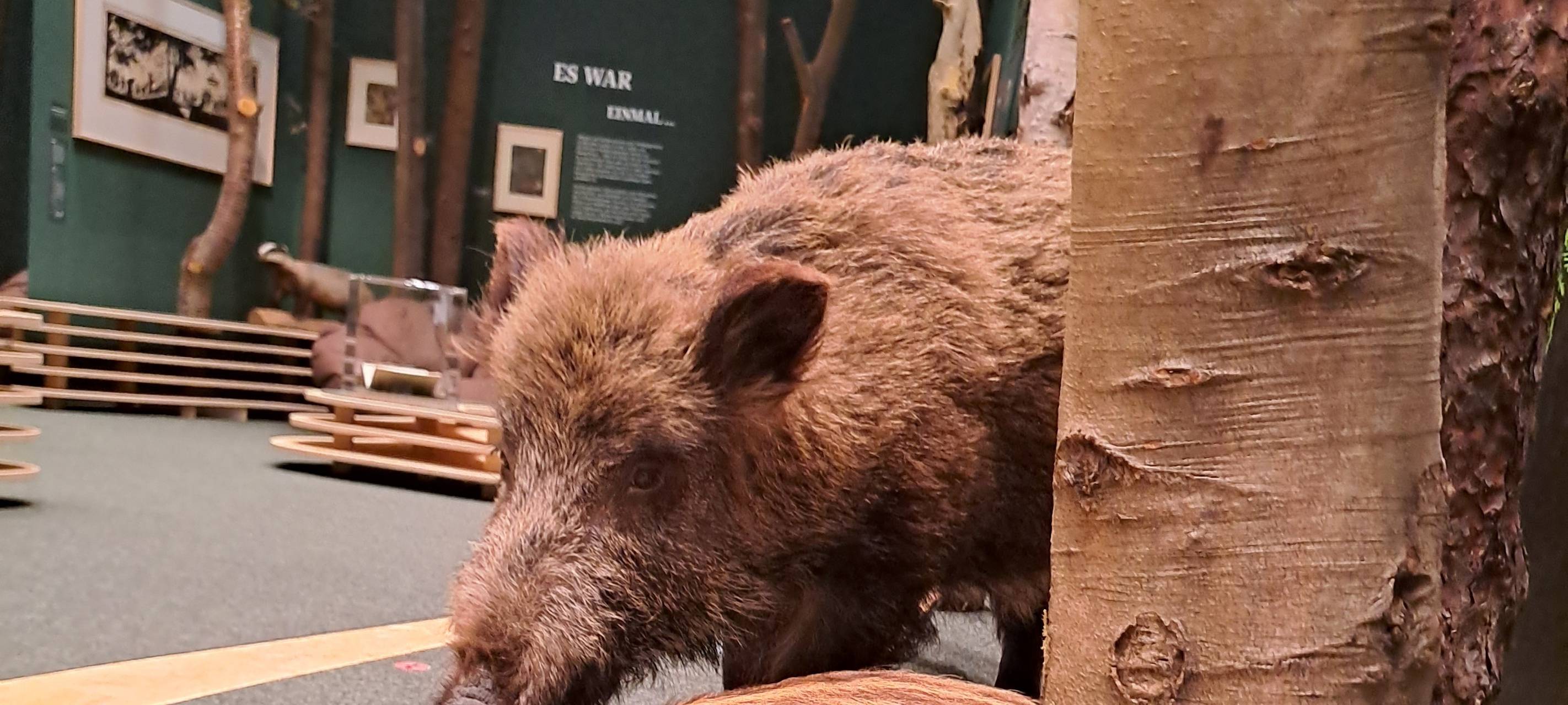 Sauerland: Stauraum für Museumsstücke