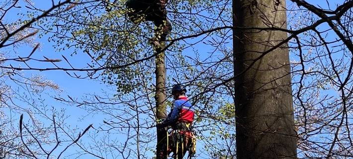 Gleitschirmflieger landet in Olsberg im Baum
