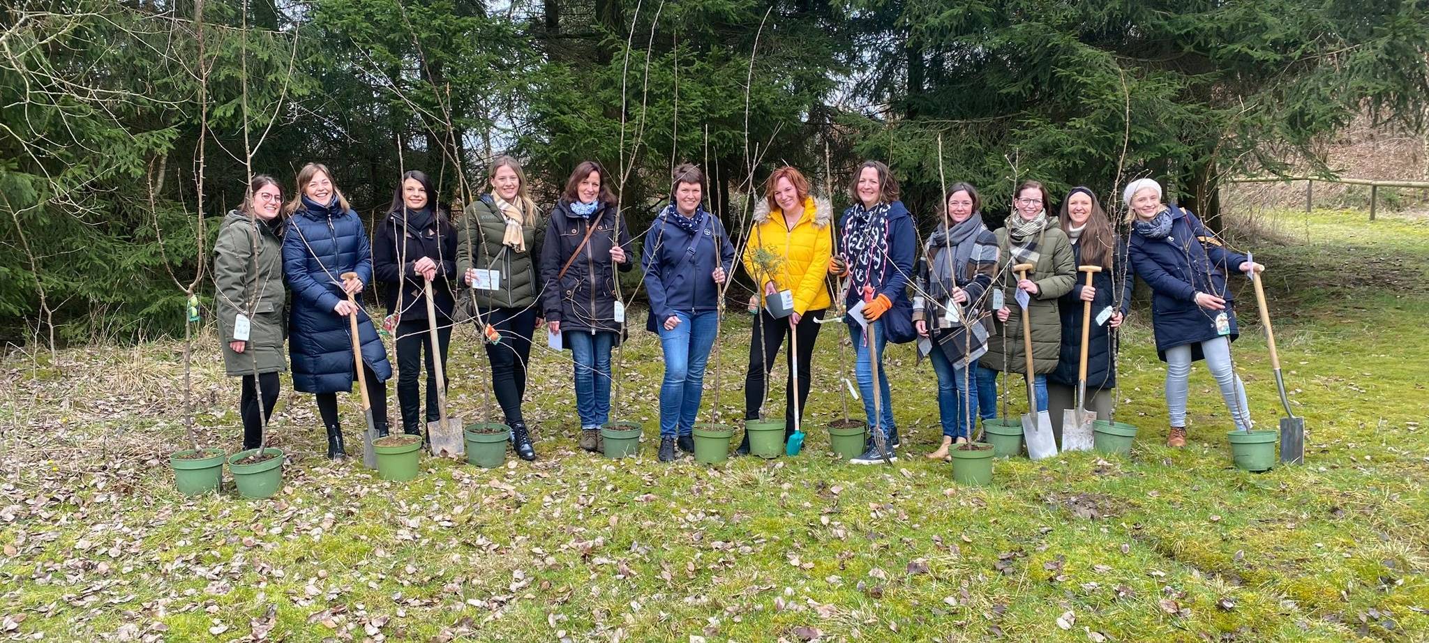 Brilon: Waldfeen pflanzen Bäume