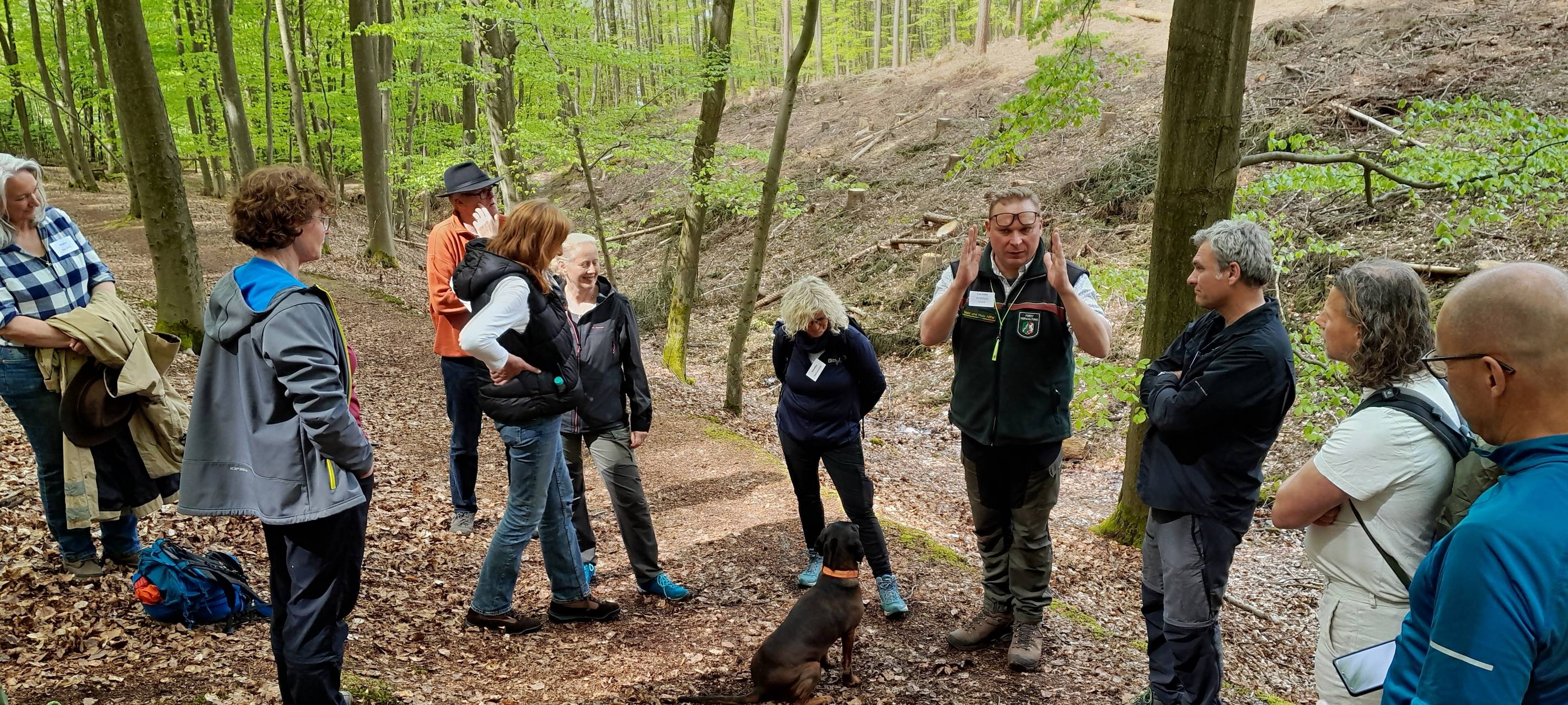 Sauerländischer Gebirgsverein gewinnt neue Mitglieder