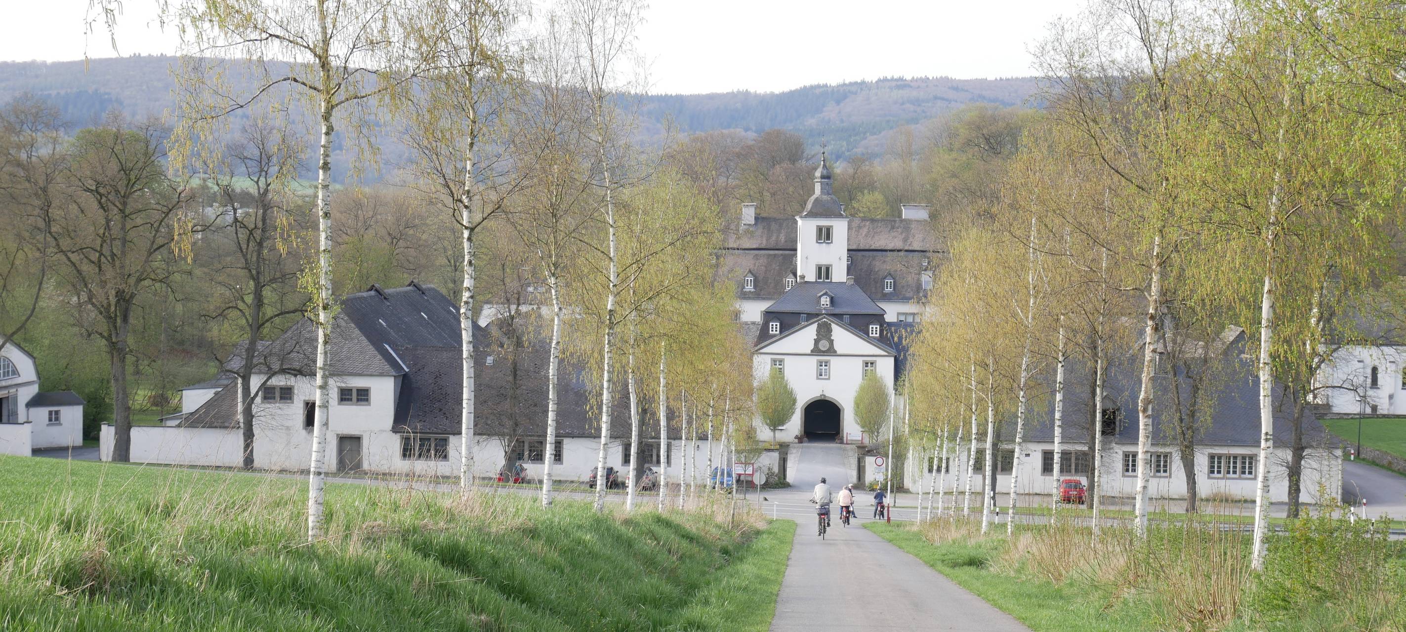Hochsaison für Pollenallergiker