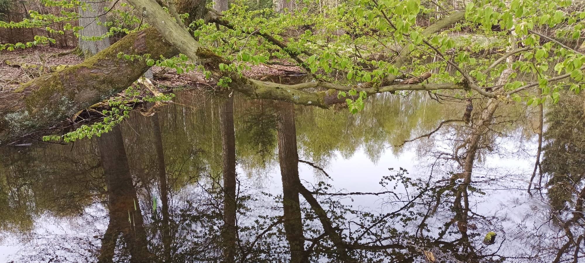 CDU im Sauerland übt Kritik an neuem EU-Gesetz