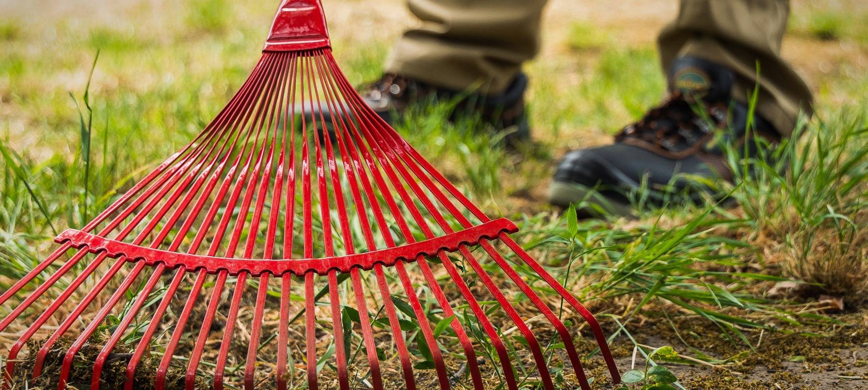Sauerland: Mehr Geld für Gartenbauer gefordert