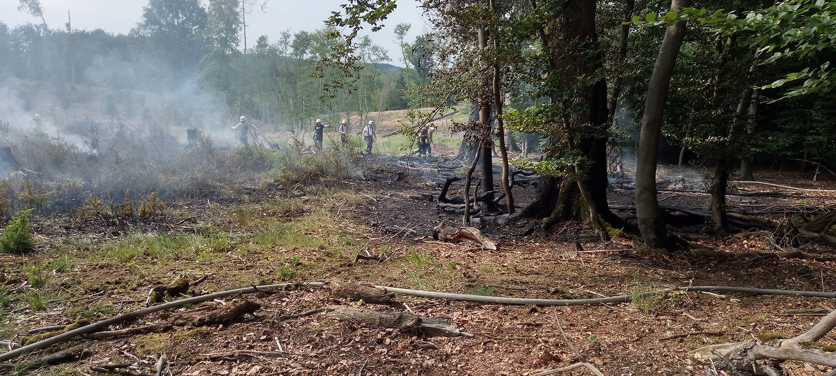 Flächenbrand in Arnsberg-Dreihausen