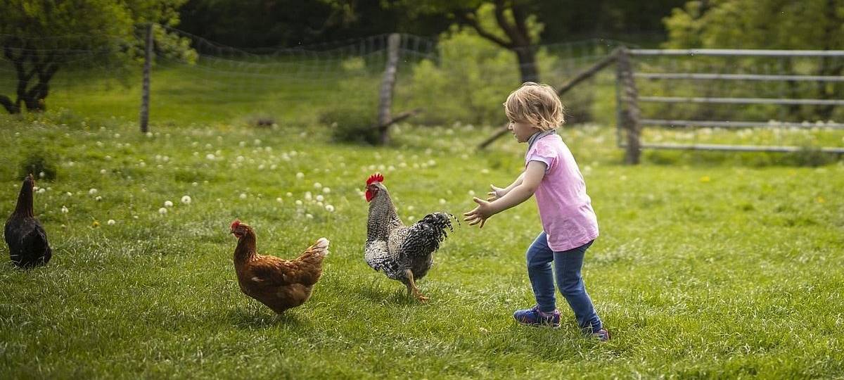 In Elpe können Ferienhäuser gebaut werden