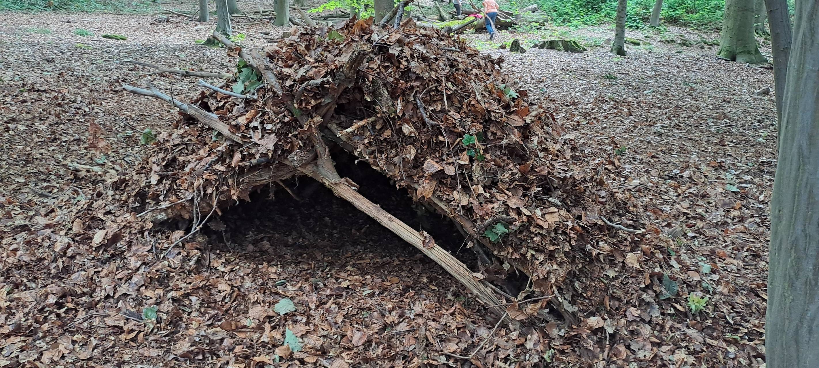 Ein provisorischer Unterschlupf aus Laub und Ästen im Wald.