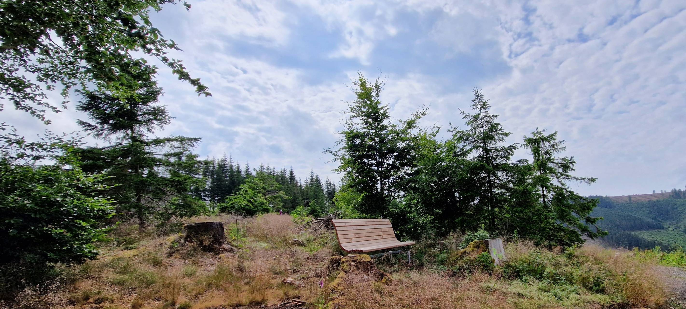 Rothaarsteig gehört zu beliebtesten Wanderwegen
