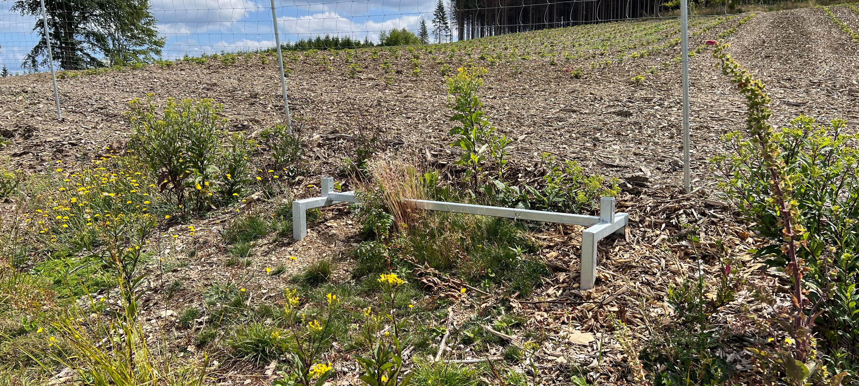 @ Schmallenberger Sauerland Tourismus