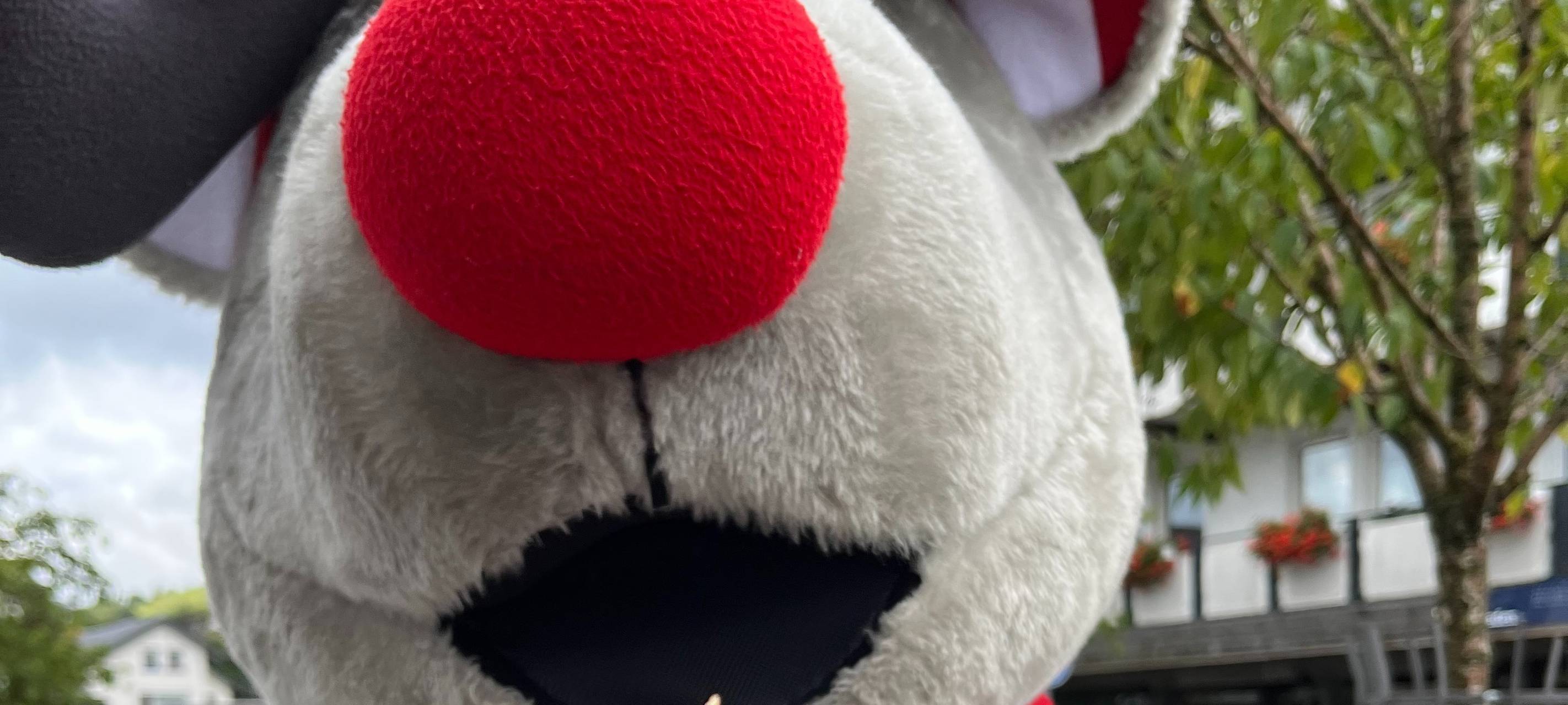 Die Radio Sauerland-Eisaktion