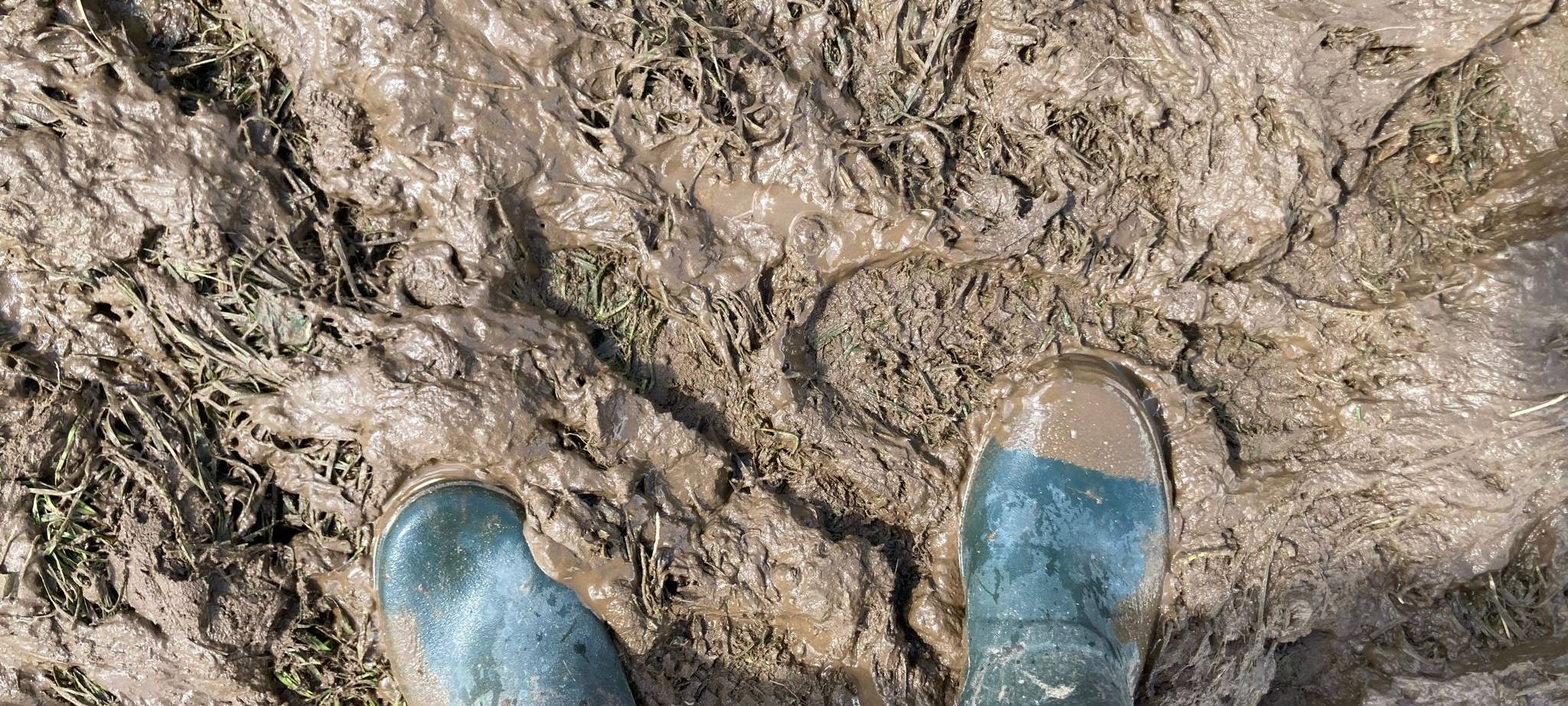 Zum Nachhören: Vom Sauerland zum Wacken