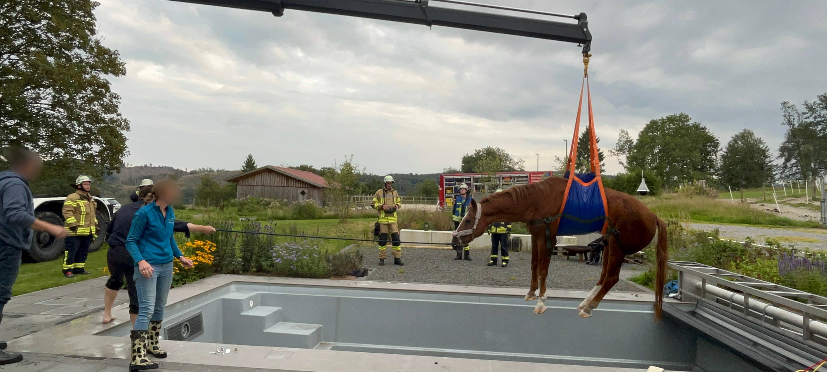 Brilon: Feuerwehr rettet Pferd aus Pool