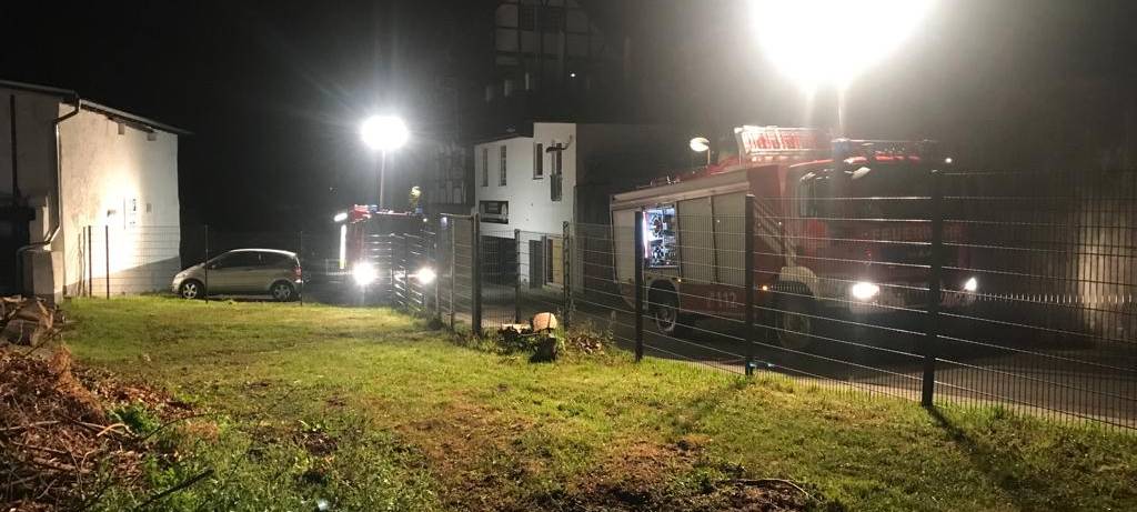 Wildschweine in Arnsberg aus Graben gerettet