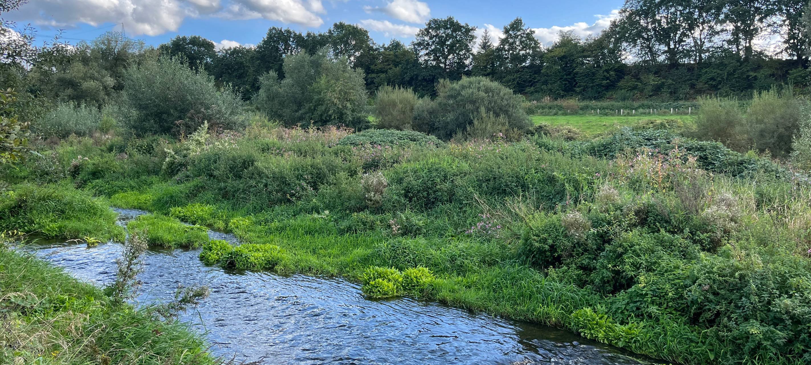 Stadt Arnsberg will Klimaanpassungskonzept entwickeln