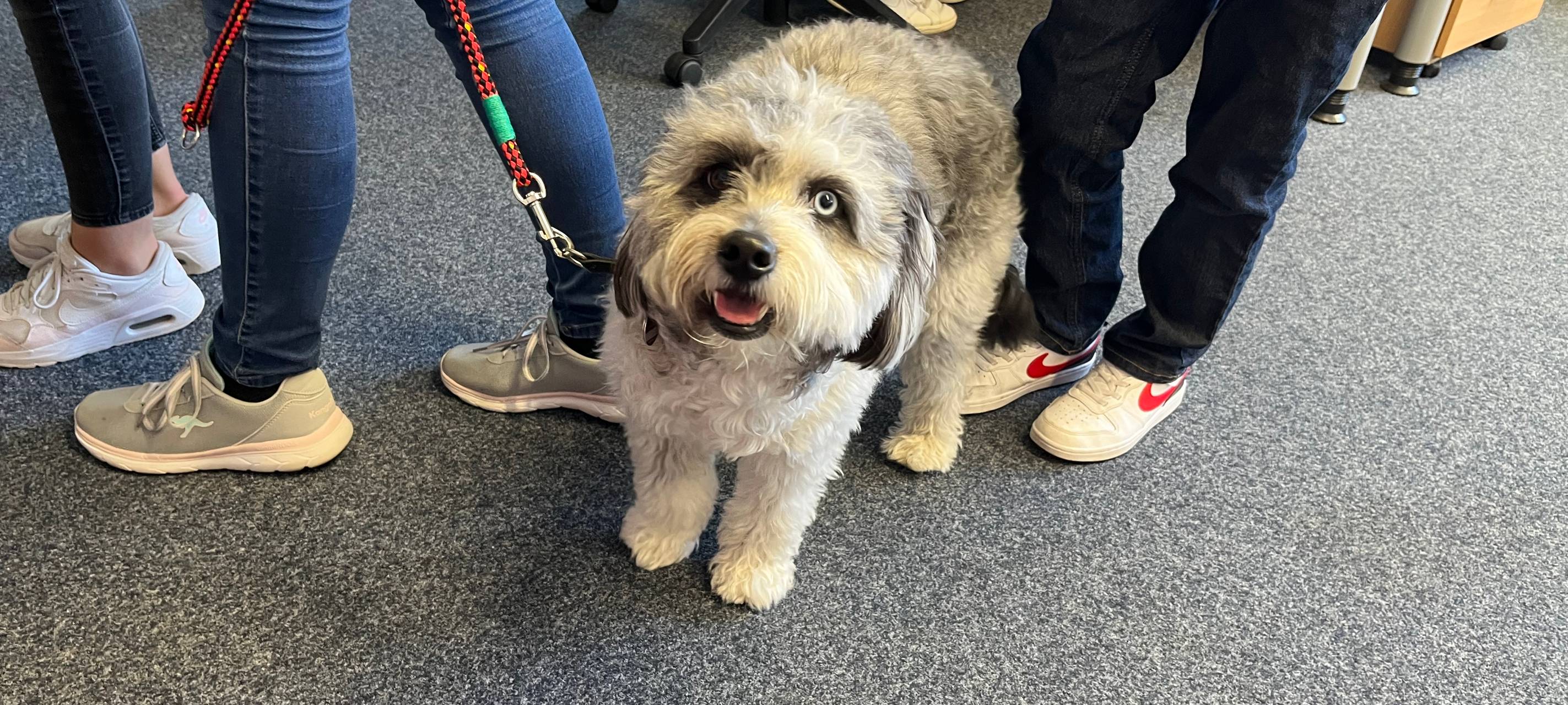 Der Radio Sauerland-Tag 2023