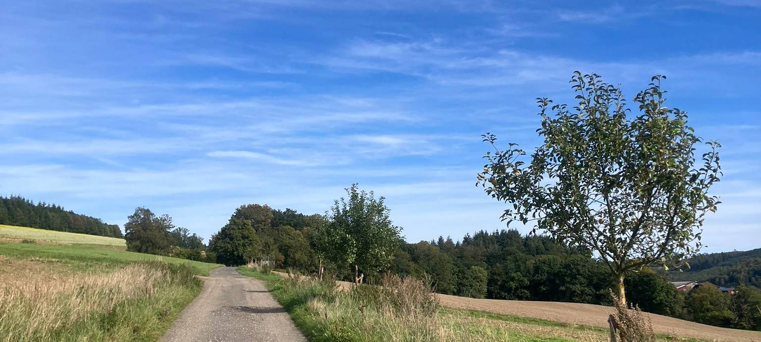 Zum Nachhören: Gratis Obst für Sauerländer