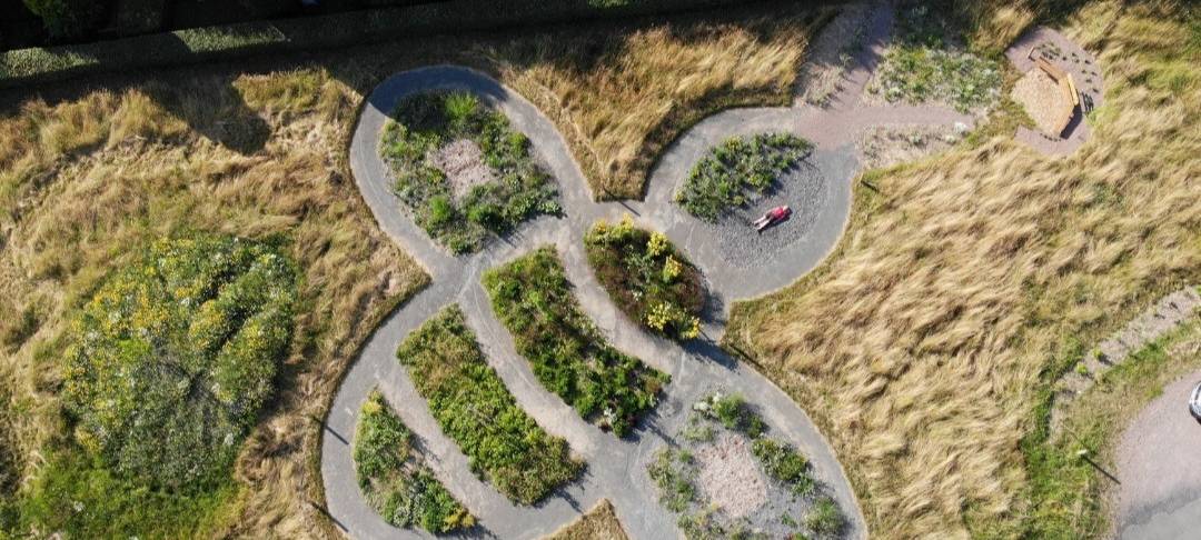 Arnsberg-Bachum eröffnet Blumenwiese