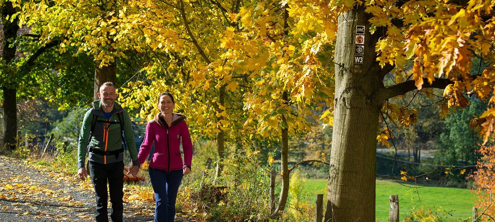 20. Rothaarsteig-Marathon in Schmallenberg