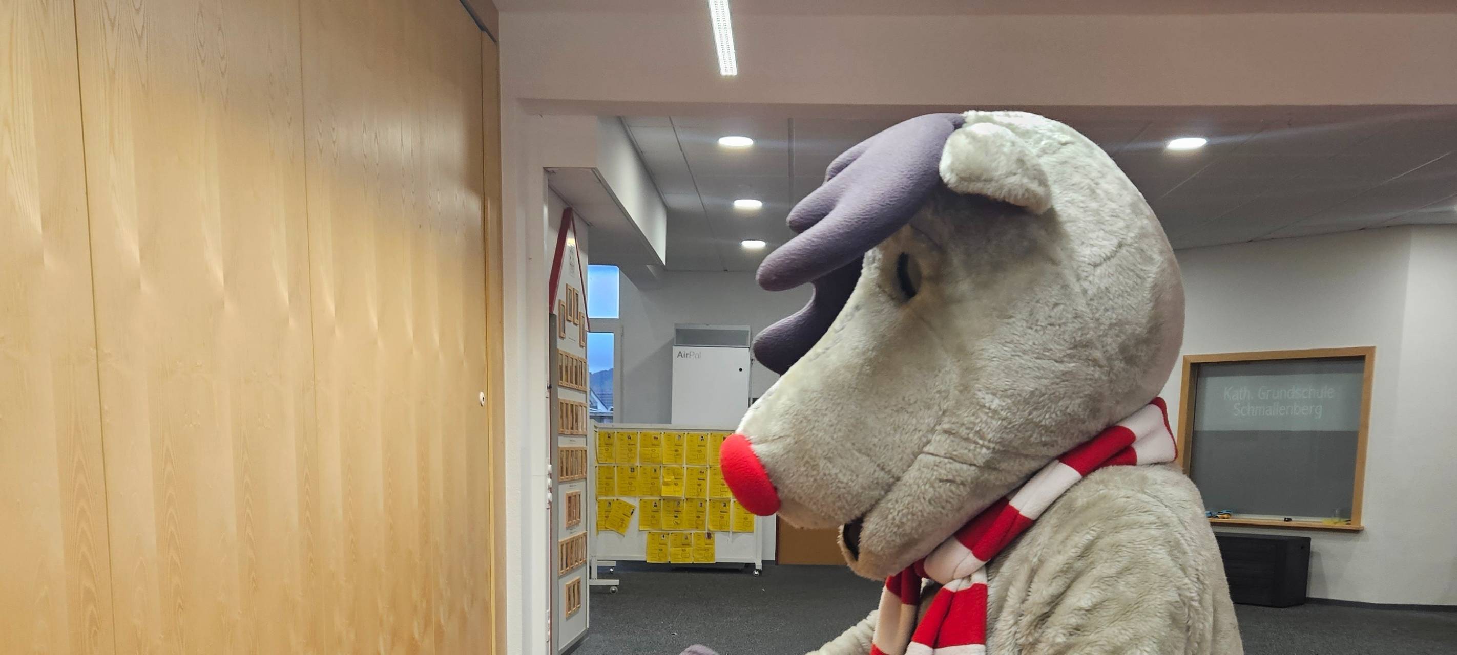 Das war unsere Verkehrssicherheitsaktion 2023