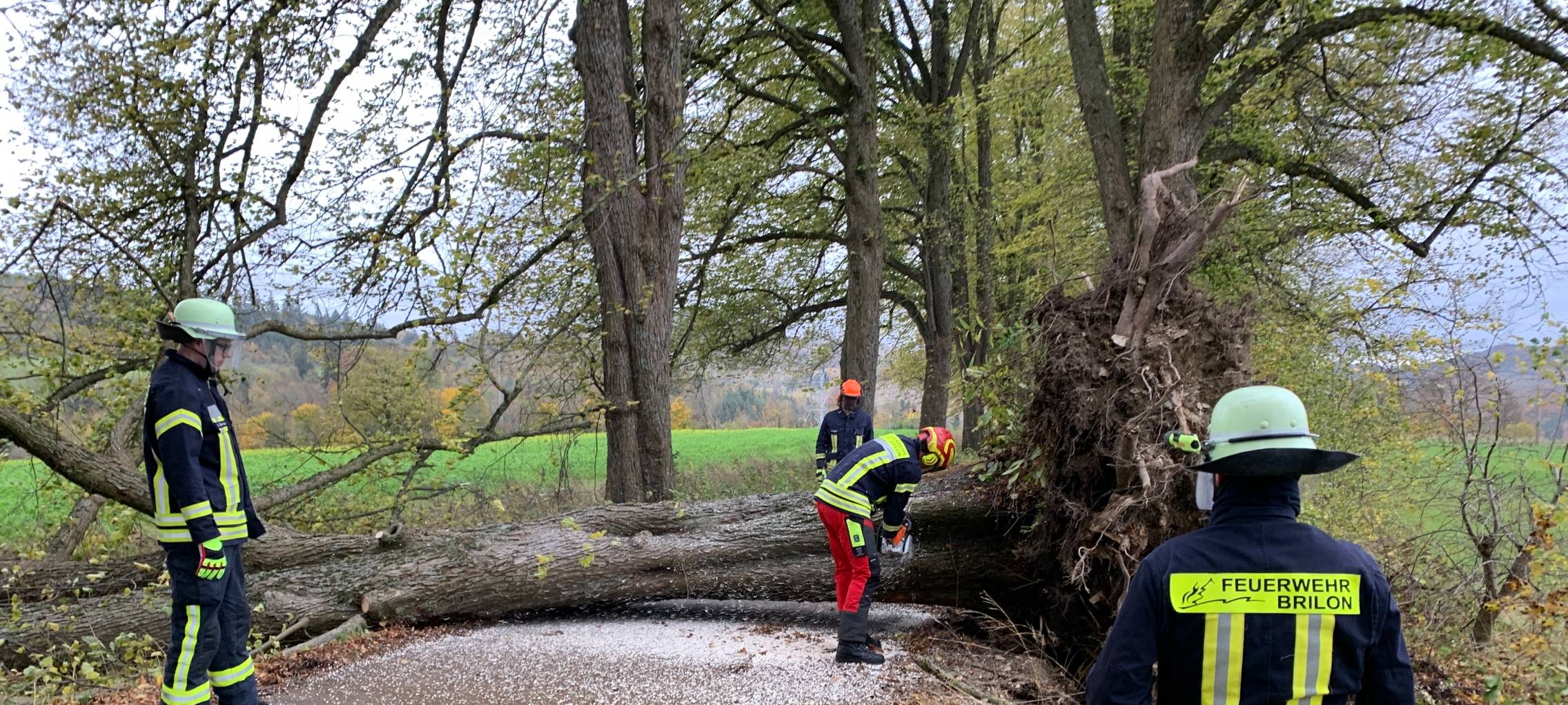 Sauerland: Sturmtief sorgt für Verkehrsbehinderungen