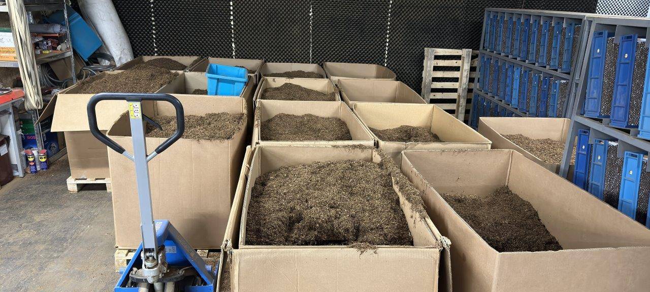 Illegale Zigarettenfabrik im Sauerland