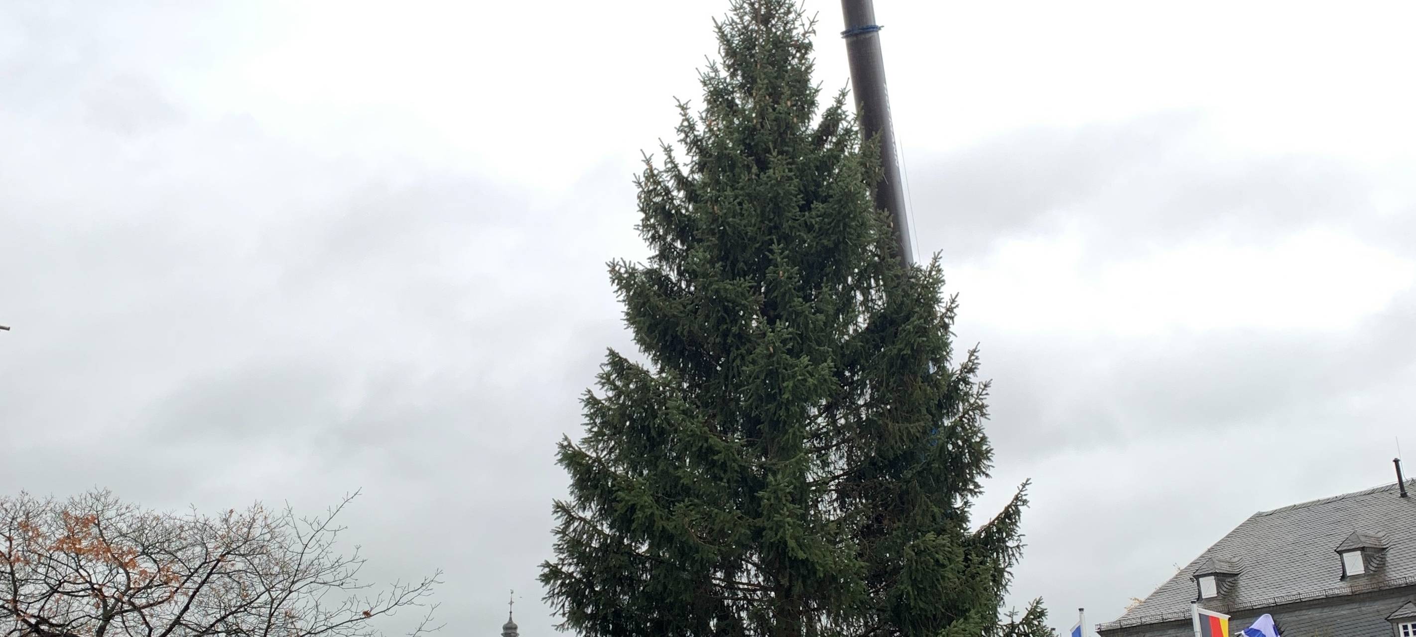 Weihnachtszeit in Brilon: Rotfichte auf Marktplatz