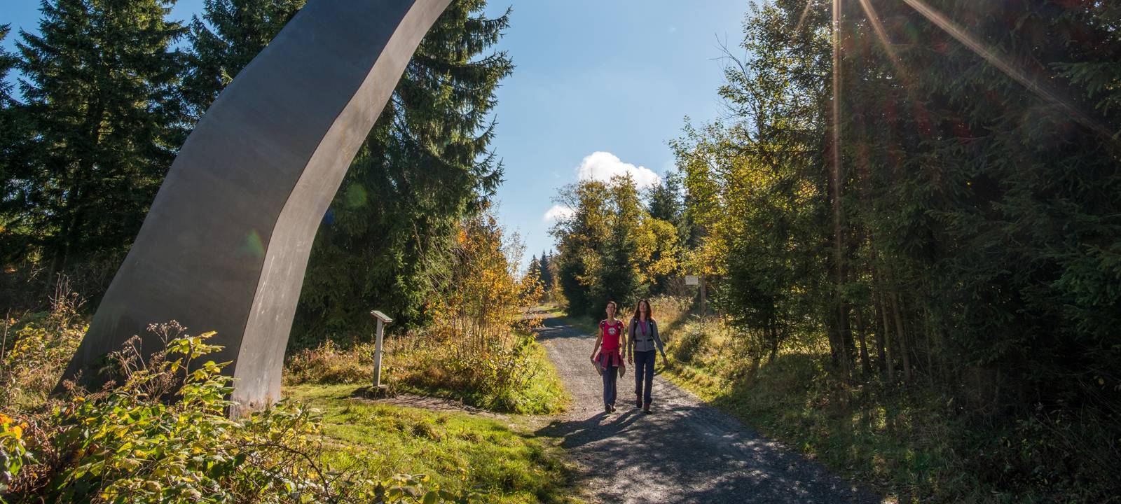 Zukunft des Waldskulpturenwegs Wittgenstein-Sauerland gesichert