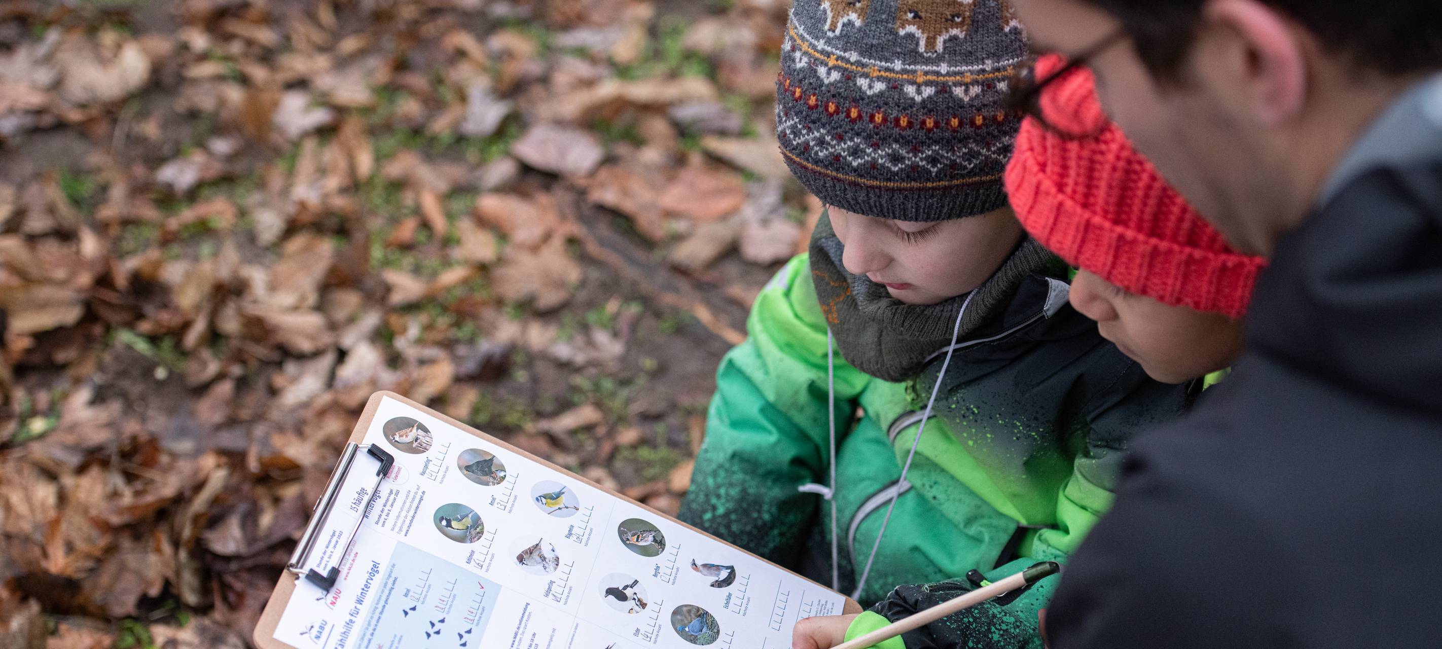 Wintervögel im Sauerland zählen