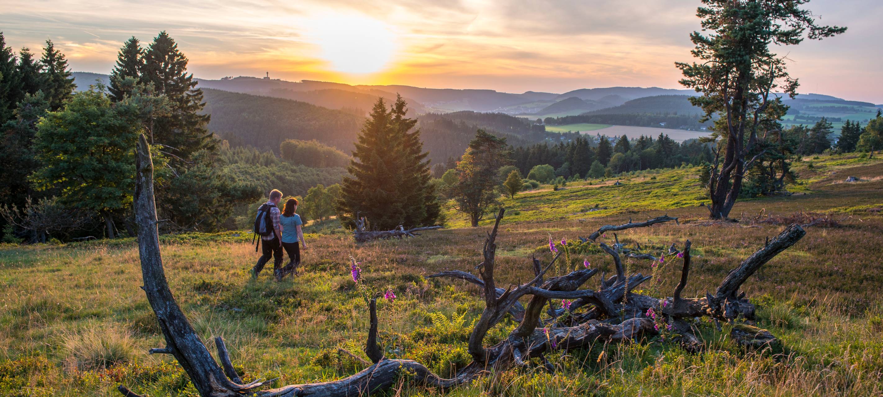 Sauerland: Uplandsteig will schönster Wanderweg werden