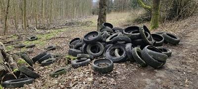 Arnsberg: Altreifen in Holzen aufgetaucht